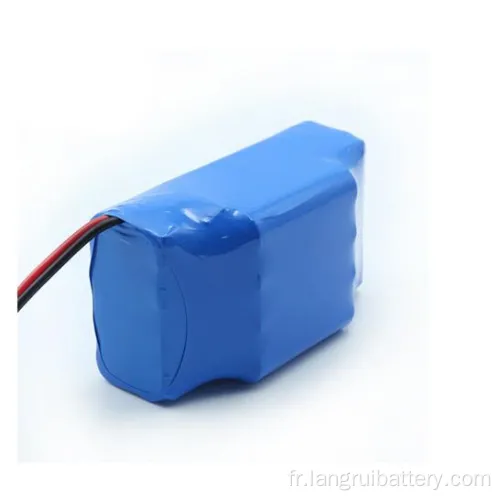 Batterie Hoverboard rechargeable 36V 4.4AH